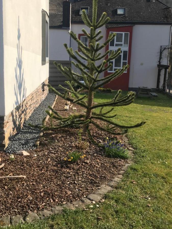Ferienwohnung Sonnen - Terrasse แบร์นคาสเทล-คืสท์ ภายนอก รูปภาพ